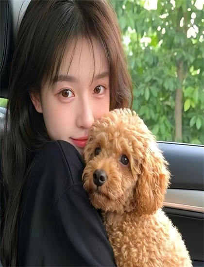 卫视热播：经济的《高分少女 第一季》悬念设置：叙事技巧与观众心理